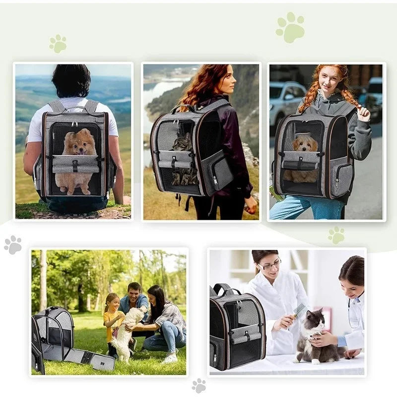 Expandable Pet Carrier Backpack with Mesh Ventilation for Cats and Dogs