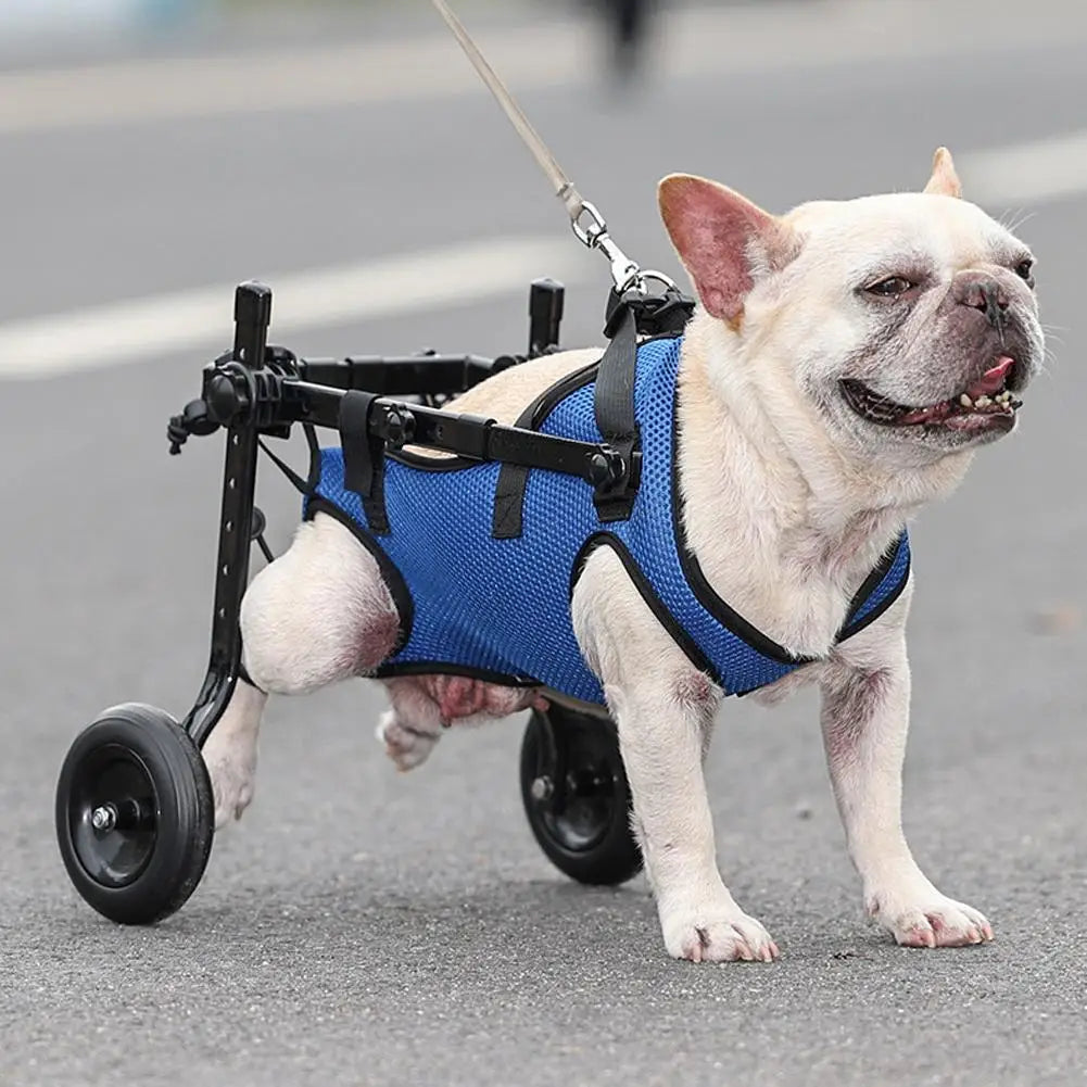 Adjustable Rear Support Dog Wheelchair with Wheels Lightweight Pet Mobility Cart for Small Dogs