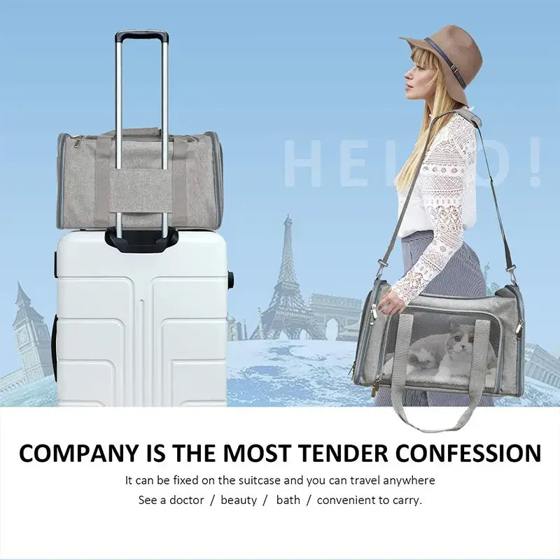 Portable Pet Carrier Travel Bag with Mesh Ventilation for Cats and Small Dogs