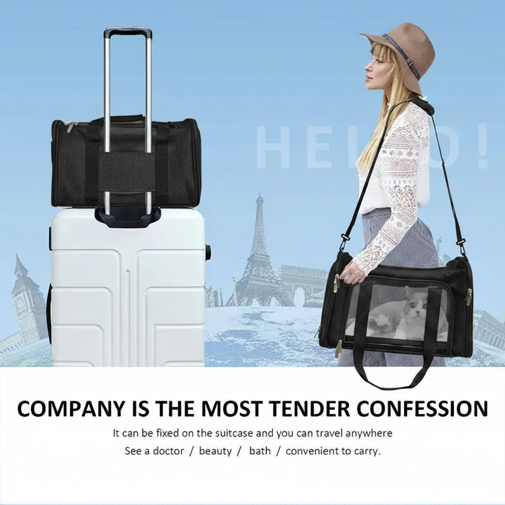 Portable Pet Carrier Travel Bag with Mesh Ventilation for Cats and Small Dogs